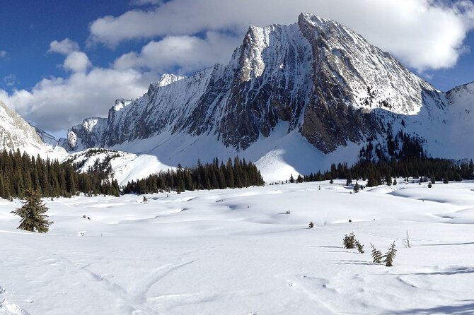 Snowshoe in Kananaskis Country - Inclusions
