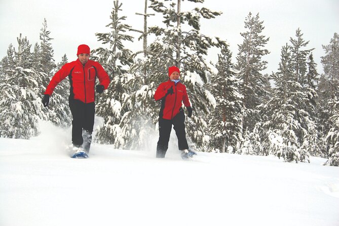 Snowshoe Trekking, Ice Fishing, and Grilling in Arctic Nature From Rovaniemi - Ice Fishing: Experience the Thrill of Catching Fresh Fish