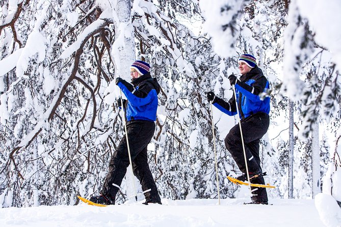 Snowshoe Trip Searching for Arctic Animals From Kemi - Best Time to Visit Kemi for Arctic Animal Encounters