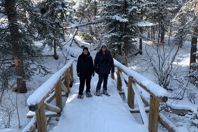 Snowshoeing Adventure in the Rocky Mountains Close to Denver - Hiking in Pristine Pine Forests