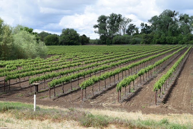 Sonoma and Napa Wine Tour Private Tours 8 to 10 Hours Max 14 Pax - Overview and Inclusions