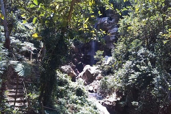 Soufriere Catamaran Excursion & Sapphire Falls Hike - Tour Highlights and Inclusions
