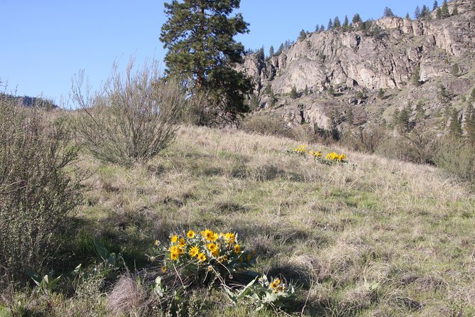 South Okanagan Desert Tour - Activities and Sightseeing Highlights