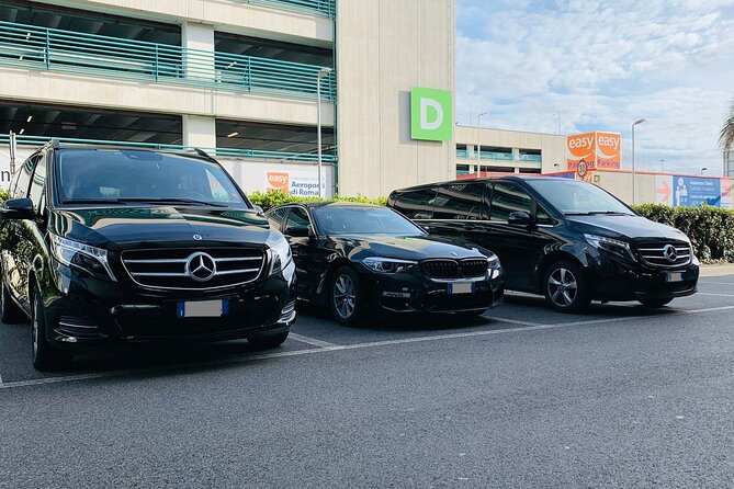 Southampton Cruise Terminals to Southampton City - Round-Trip Private Transfer - Booking and Availability