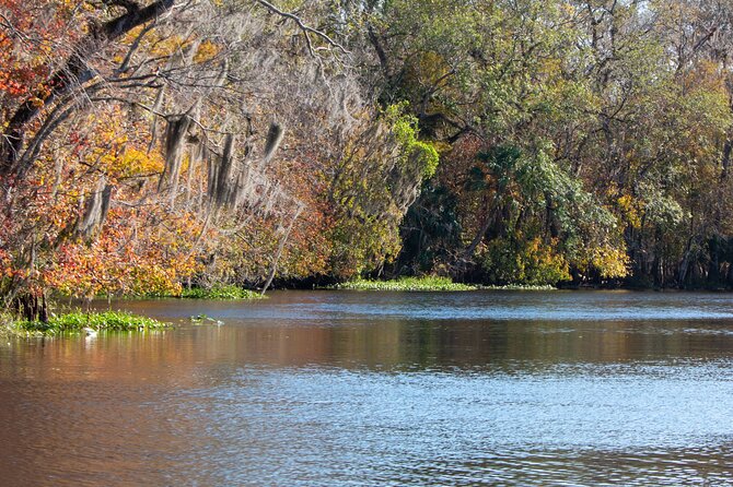 St. Johns River Nature Cruise at Blue Spring State Park - Inclusions and Highlights