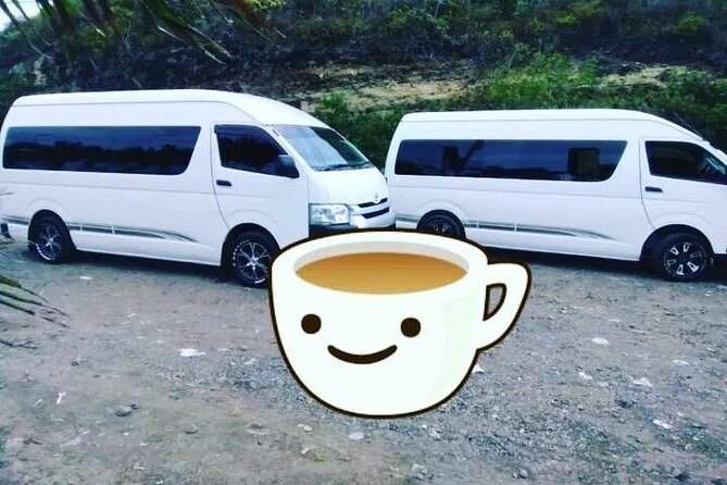 St Lucia Airport Transfer Hewanorra (UVF) to SANDALS Grande - Regency - Halcyon - Date Selection and Traveler Information