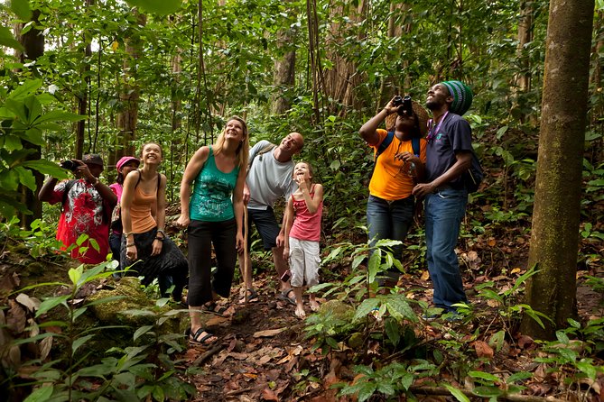St Lucia Rainforest Walk - Inclusions