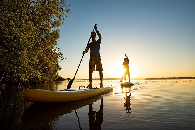 Stand Up Paddle Surf - Basic Techniques for Stand up Paddle Surfing