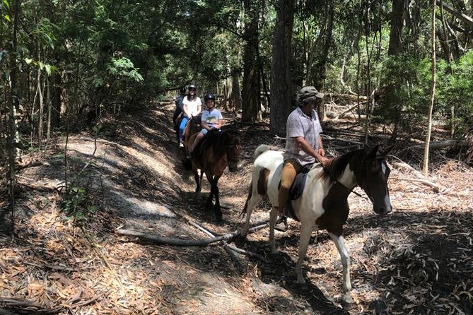 Stanford Mountain Ride 1 Hour - Inclusions and Amenities