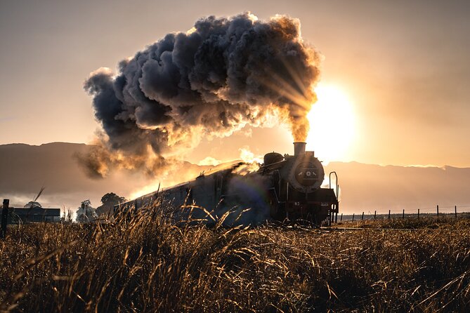 Steam Train to Elgin Railway Market - Traveler Reviews