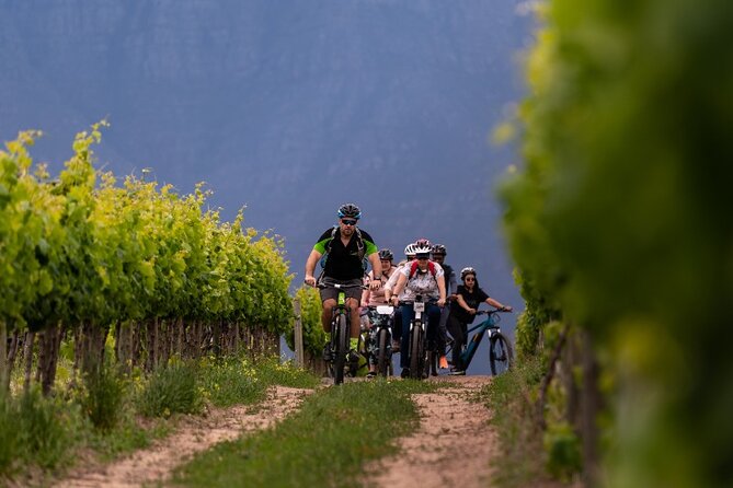 Stellenbosch Half Day Winelands Cycle Tour - Cancellation Policy