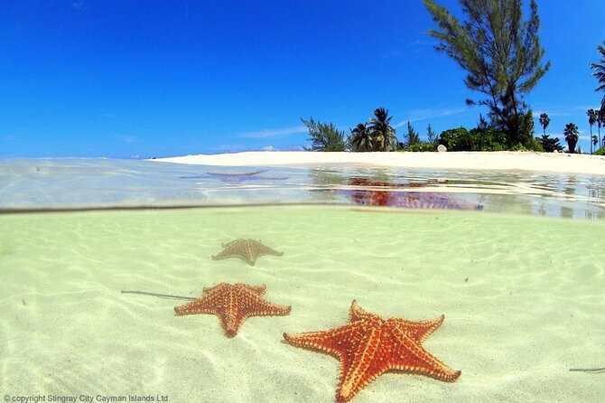 Stingray City and Starfish Point Water Tours in Grand Cayman - Tour Inclusions