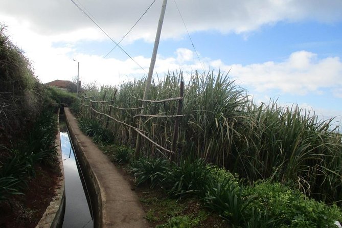 Sugar Route - Levada Nova (Half Day Walk) - Operator Information