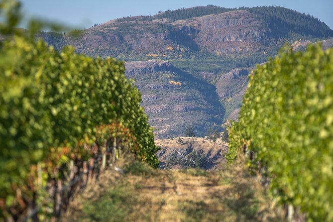 Summerland Wine Tour Full Day Guided With 5 Wineries - Winery Selection