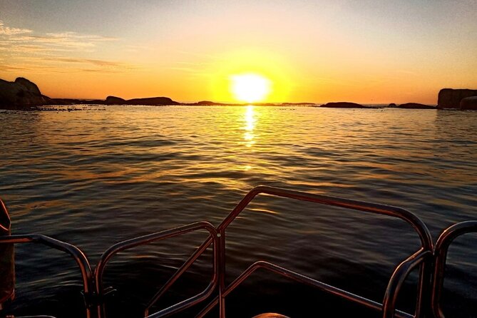 Sunset Champagne Cruise From Cape Town - Sailboat and Panoramic Views