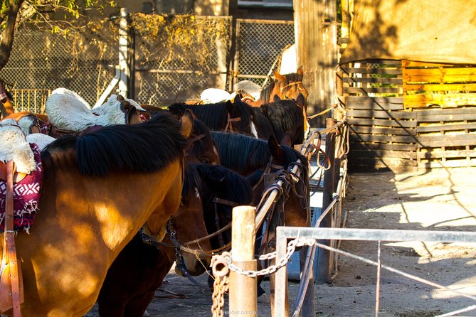 Sunset Horseback Riding - Whats Included