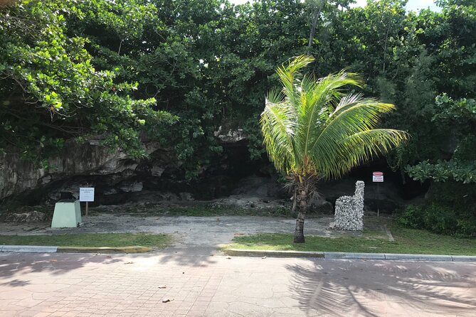 Swim With the Pigs and Explore Caves in Nassau - Meeting and Pickup