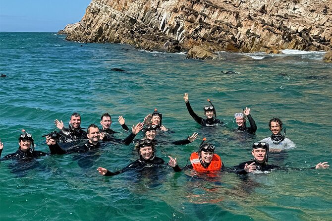 Swim With the Seals in Plettenberg Bay - Important Information for Participants