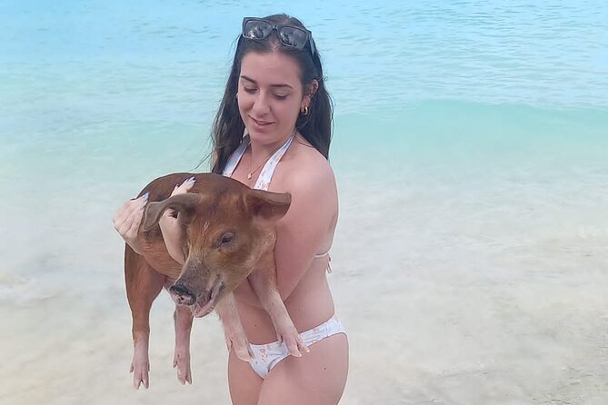 Swimming Pigs Island Turtles and Snorkeling Excursion 4 Stops - Pricing and Booking Information