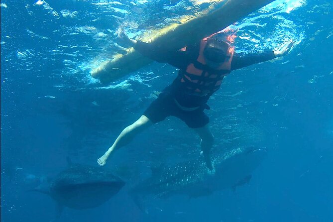 Swimming With Whale Sharks and Island-Hopping to Sumilon Island - Inclusions and Recommendations