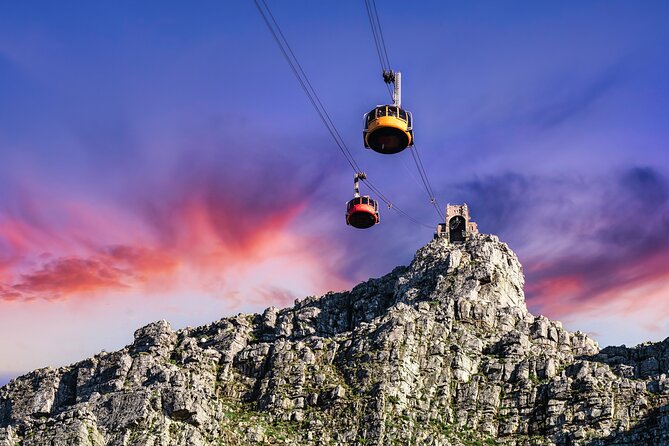 Table Mountain, Boulders Penguins & Cape Point, Private Day Tour - Transportation and Guides