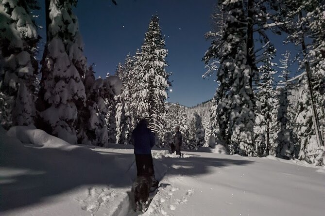 Tahoe National Forest Moonlight Snowshoe Tour Under a Starry Sky - Inclusions and Meeting Details