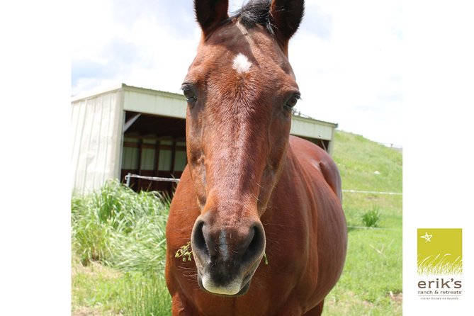 Tail Creek, MT, Rustic Barn and Horse-riding, Small-Group Tour (Feb ) - Inclusions Provided