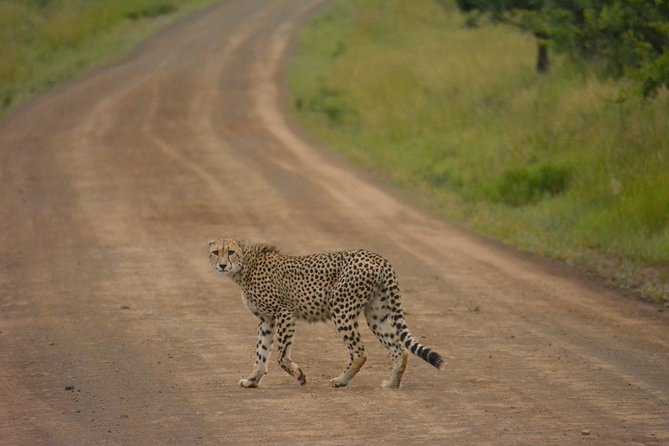Tanzania Safari 1- Day - ARUSHA NATIONAL PARK VISIT - Destination and Activity