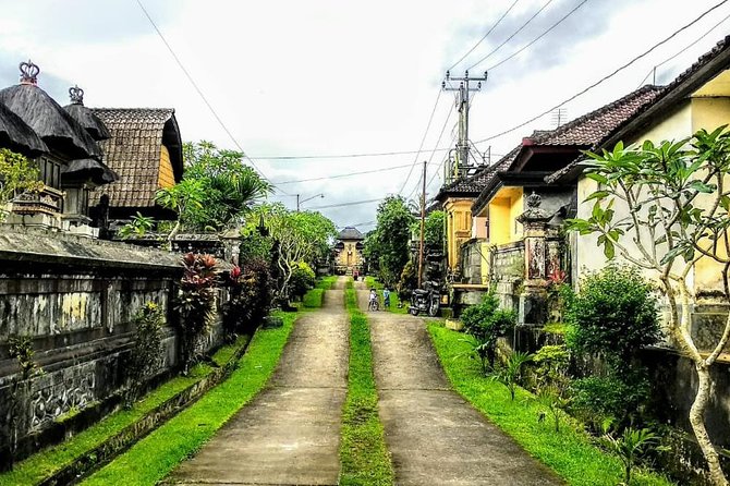 Taro Half-Day Private Village Experience With Hindu Blessing  - Seminyak - Selecting Date and Travelers