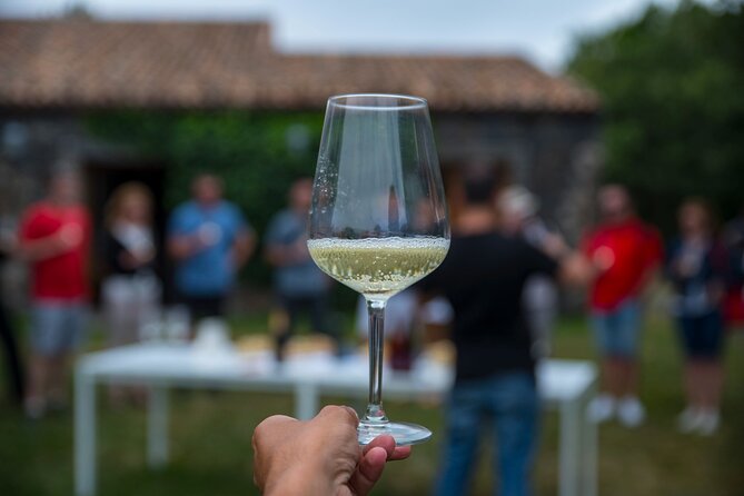 Tasting the Best Wines of the Region With a Sommelier in Braga - Activity Details