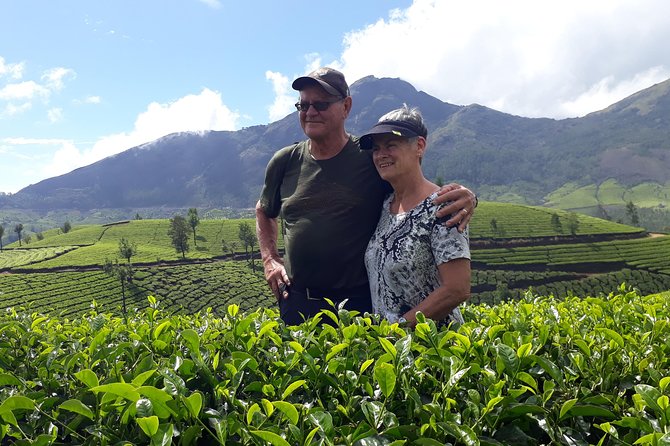 Tea Cultivation Programme - Tea Varieties Grown