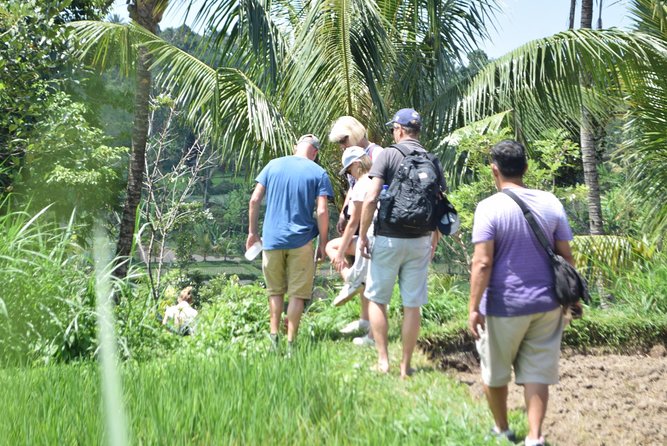 Tetebatu Walking Tour - Rice Terraces, Waterfall & Monkey Forest - Insights Into Rural Lifestyle
