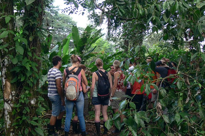 The Best of Tortuguero: Canoe, Hike and Night Tour (Turtle in Jul-Oct) - Canoeing Experience