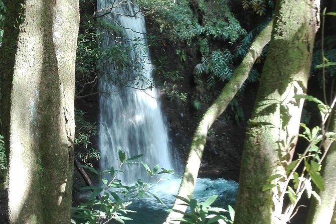The Great Waterfalls Hiking Tour - Waterfall Views