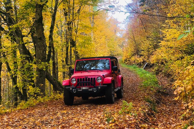 The Margaree Mountaineer - Private On or Off-road Jeep Tour - Jeep Options