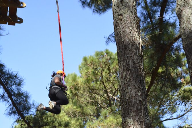 The Raptor, High Rope Course and Zipline Tickets, Wheeler Lake KOA - Exciting Activities at the Rope Course