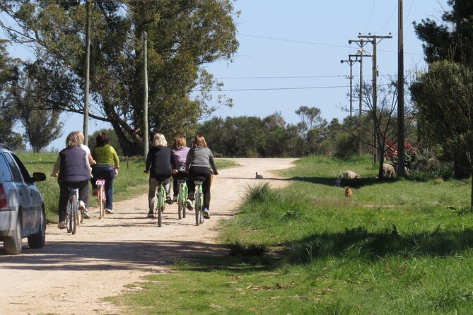 Thousand Rumbos Bike Tourism - Review Evaluation: Ratings and Credibility