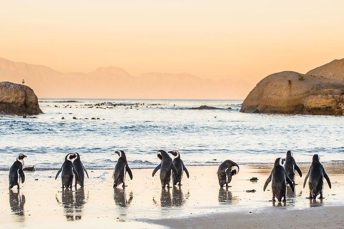 Three Day Private Tour - Cape Peninsula/Table Mnt/Stellenbosch Winelands - Meeting and Pickup