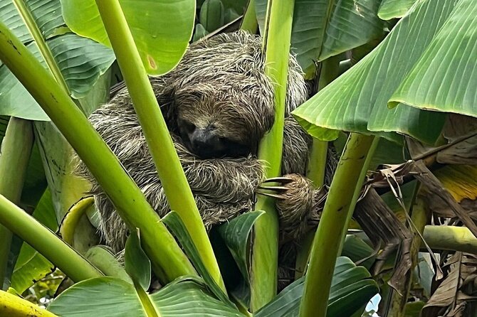 Thrilling Jungle River Adventure With Unique Wildlife - Inclusions