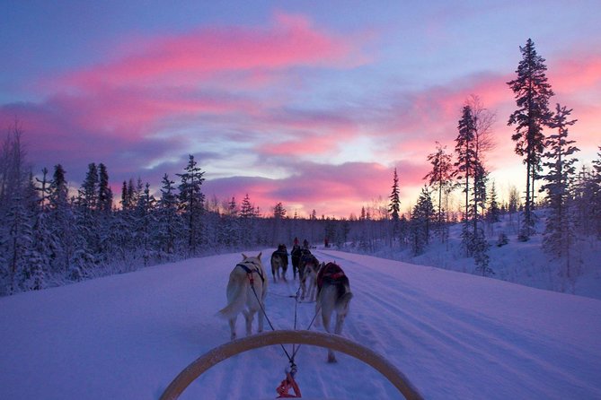 Thrilling Winter Night Adventure in Ushuaia - Exciting Activities Under the Night Sky