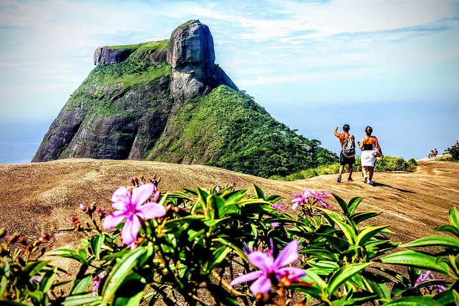 Tijuca Forest Half-Day Hike (Small Group or Private) - Tour Overview
