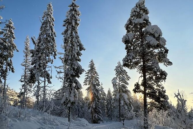 Top of Oslo/Starlight Evening Snowshoeing Tour(s) - Inclusions