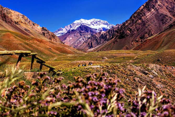 Tour Aconcagua Park in Small Group From Mendoza With Barbecue Lunch - Overview