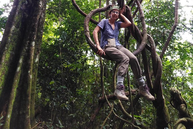 TOUR PACKAGE (Taxi, Room, Jungle Trekking) 3 Days in BUKIT LAWANG - Itinerary for the 3-Day Adventure