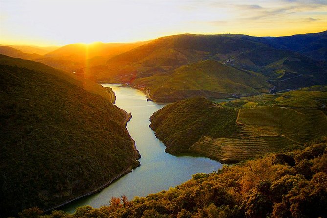 Tour Portugal 6 Days - Day 4: Uncovering the Charms of Porto