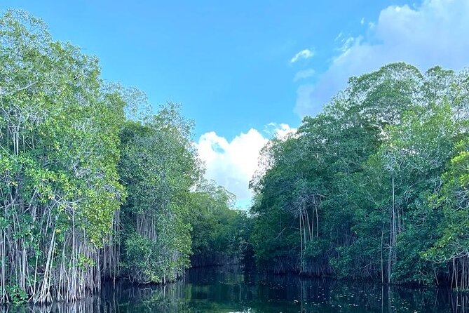 Tour to Black River and YS Falls - Directions to Black River and YS Falls