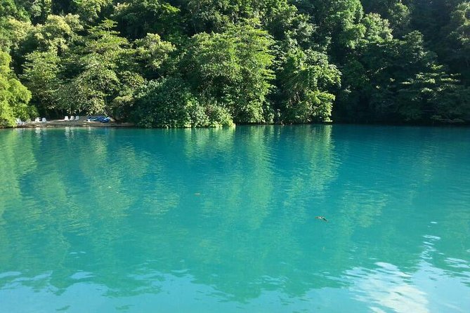 Tour to Fern Gully and Konoko Falls and Park - Reviews and Ratings