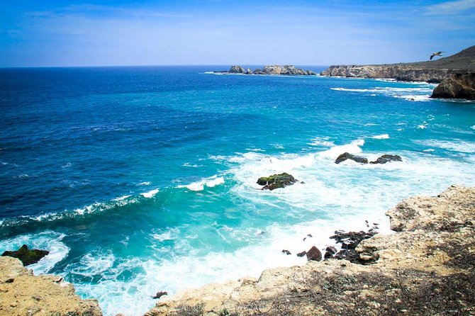 Tour to La Plata Island and Whales Watching - Destination Highlights