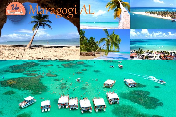 Tour To Maragogi AL - Tour Highlights