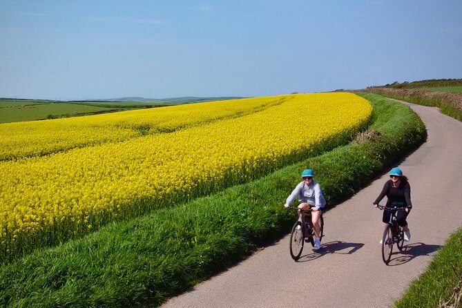 TourDeLanes Electric Bicycle Tour - Pricing and Booking Information